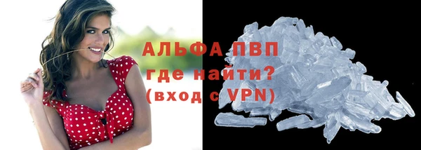 мяу мяу мука Белокуриха