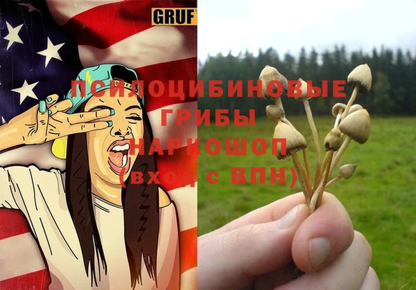 мяу мяу мука Белокуриха