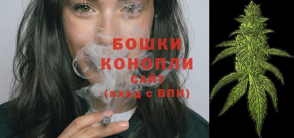 мяу мяу мука Белокуриха