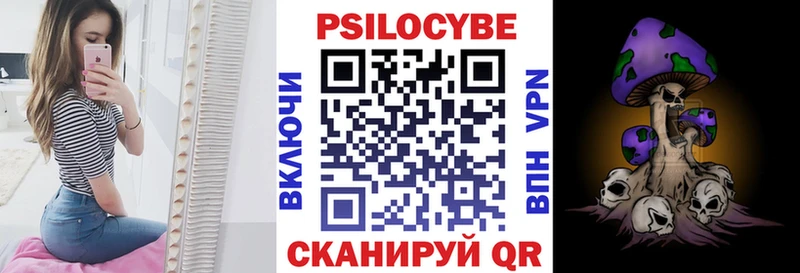 Псилоцибиновые грибы Psilocybine cubensis Тогучин